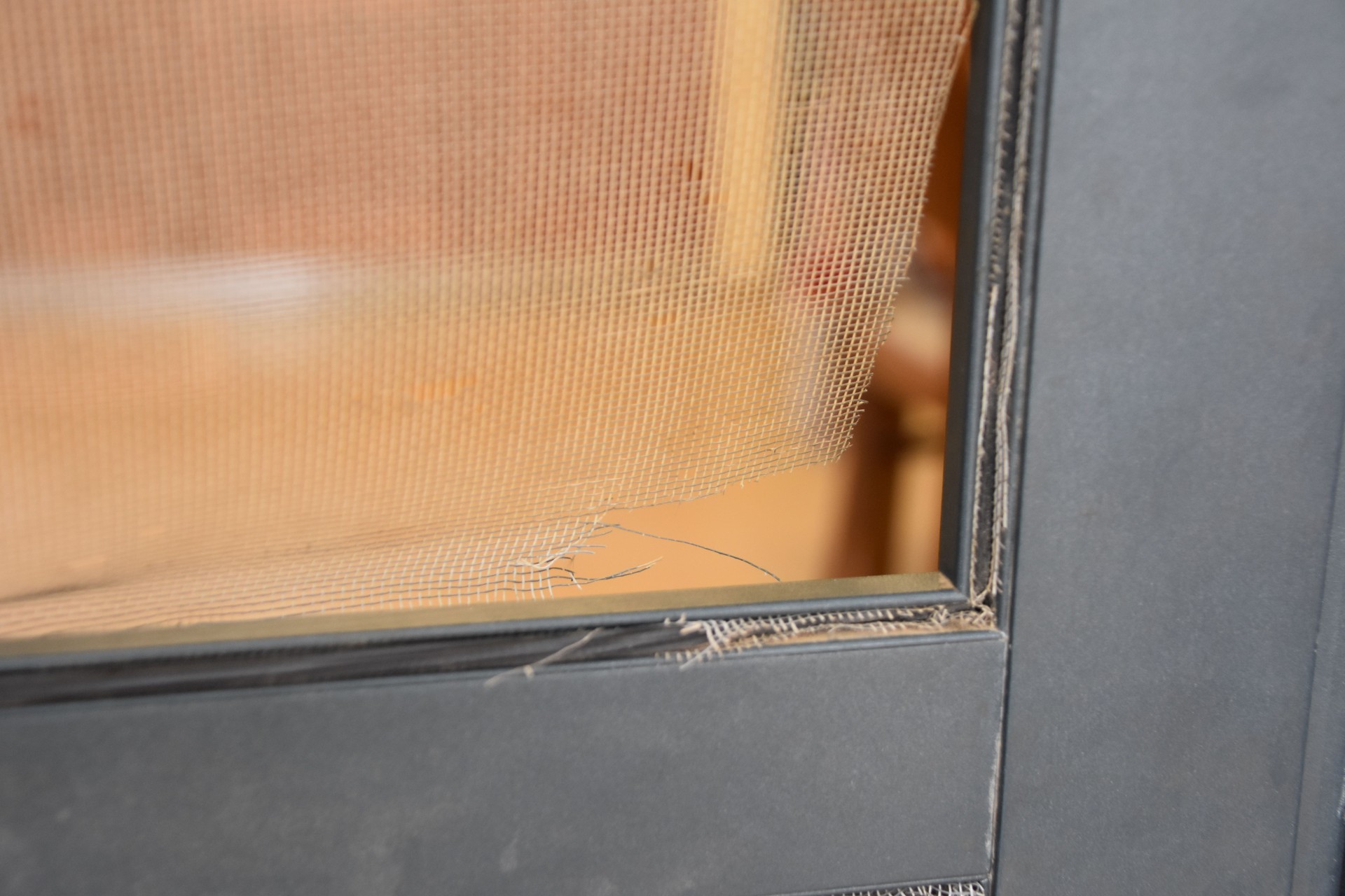 Torn screen door